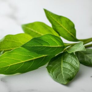 curry leaves