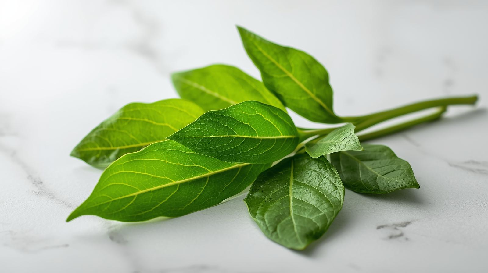 curry leaves