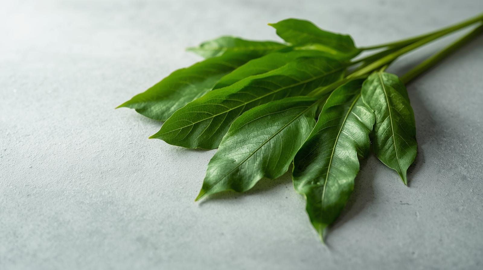 curry leaves