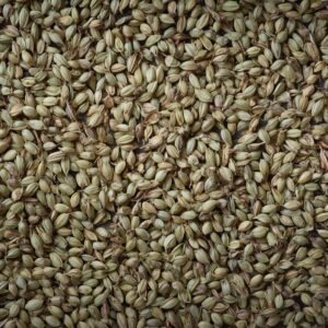 coriander seeds