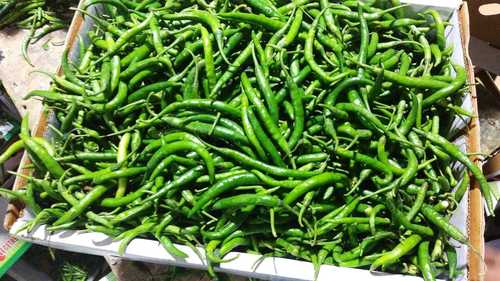 green chilli (hari mirch)