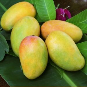 keasr mangoes
